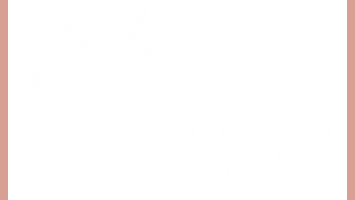 Service Vert : Paysagiste